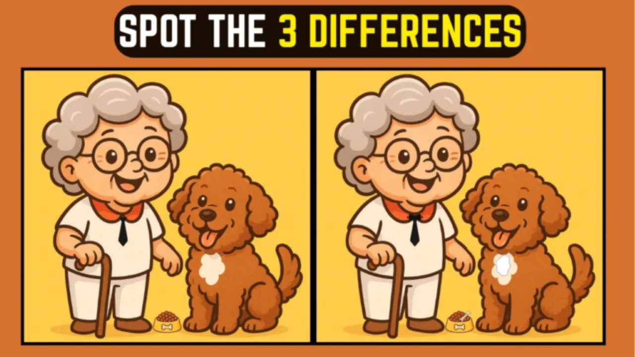 8-Second Challenge: Spot the 3 Differences in the Grandma and Dog Image